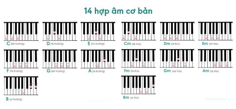 14 hợp âm cơ bản bao gồm: 7 hợp âm trưởng và 7 hợp âm thứ, cách đánh hợp âm piano