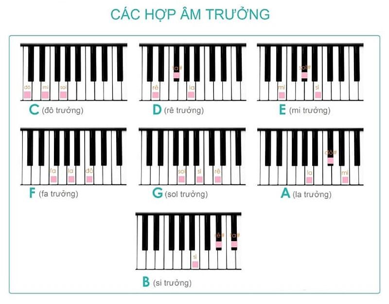 7 hợp âm trưởng cơ bản trong piano, hợp âm chuẩn piano