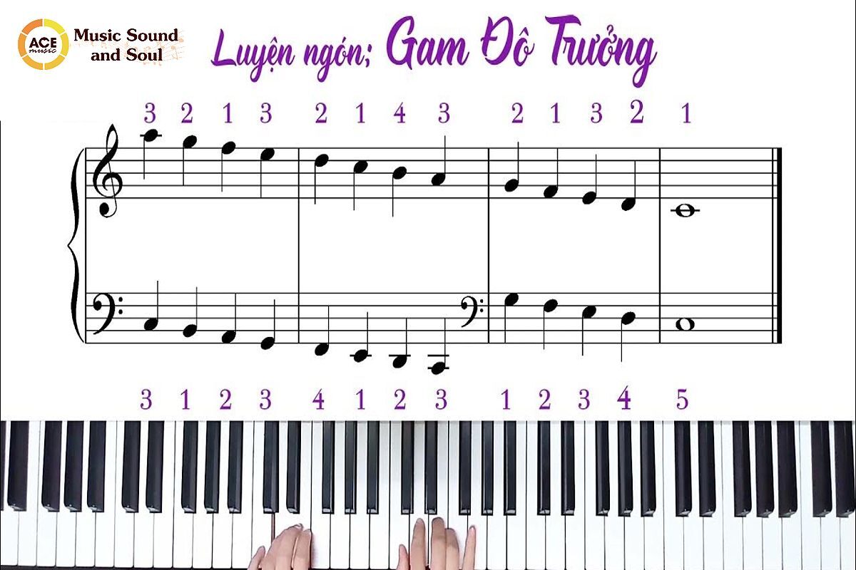 Gam là gì guitar - Các Hợp Âm Cơ Bản Của Một Gam