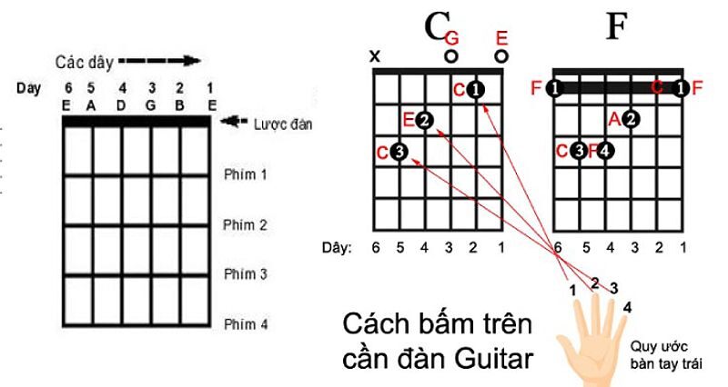 Cách bấm hợp âm đàn guitar cơ bản