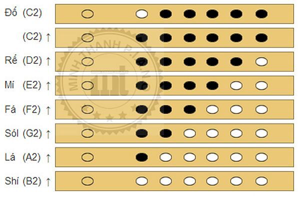 Cách thổi sáo trúc 6 lỗ quãng 2