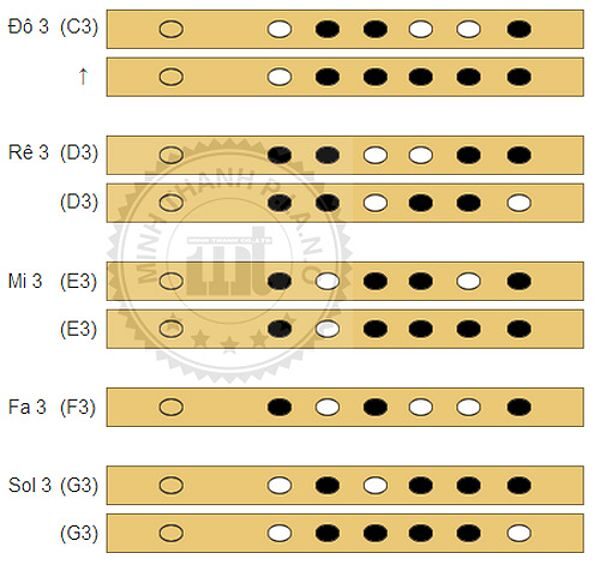 Cách thổi sáo trúc 6 lỗ quãng 3