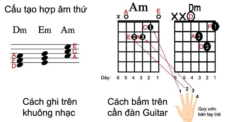 Cấu tạo hợp âm thứ