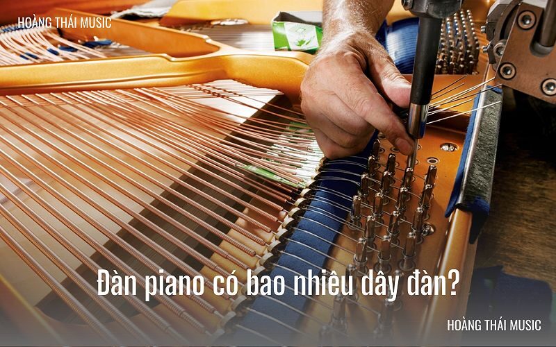 Đàn piano có bao nhiêu dây, đặc biệt với những dây treble và bass