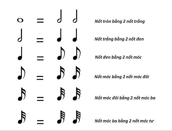 Hình nốt và trường độ của các nốt nhạc - hướng dẫn học nhạc lý guitar