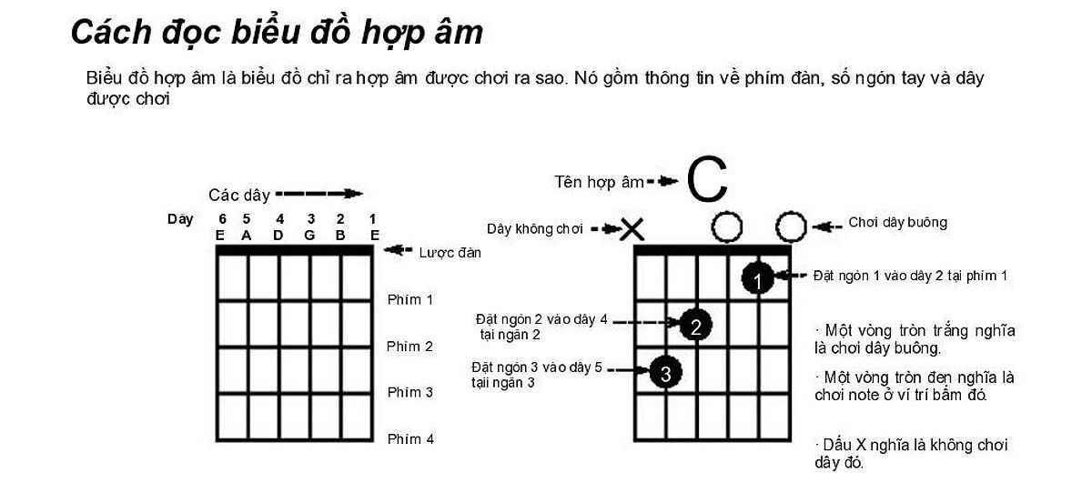 Hợp Âm Mi Trưởng